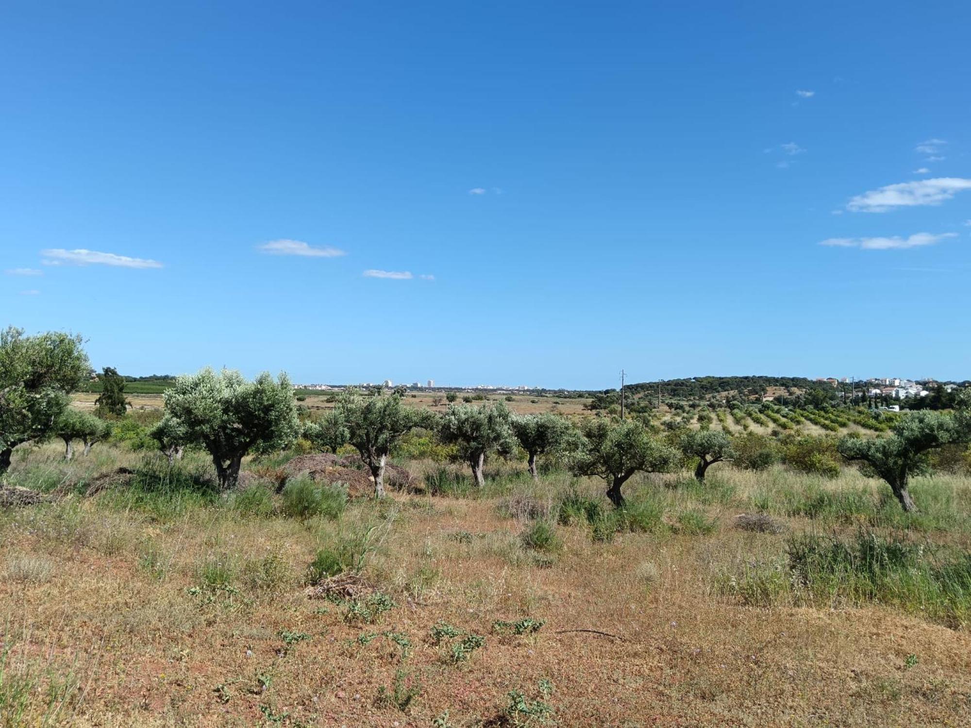 Вилла Quinta Da Fornalha - Santuario Agroecologico Каштру-Марин Экстерьер фото