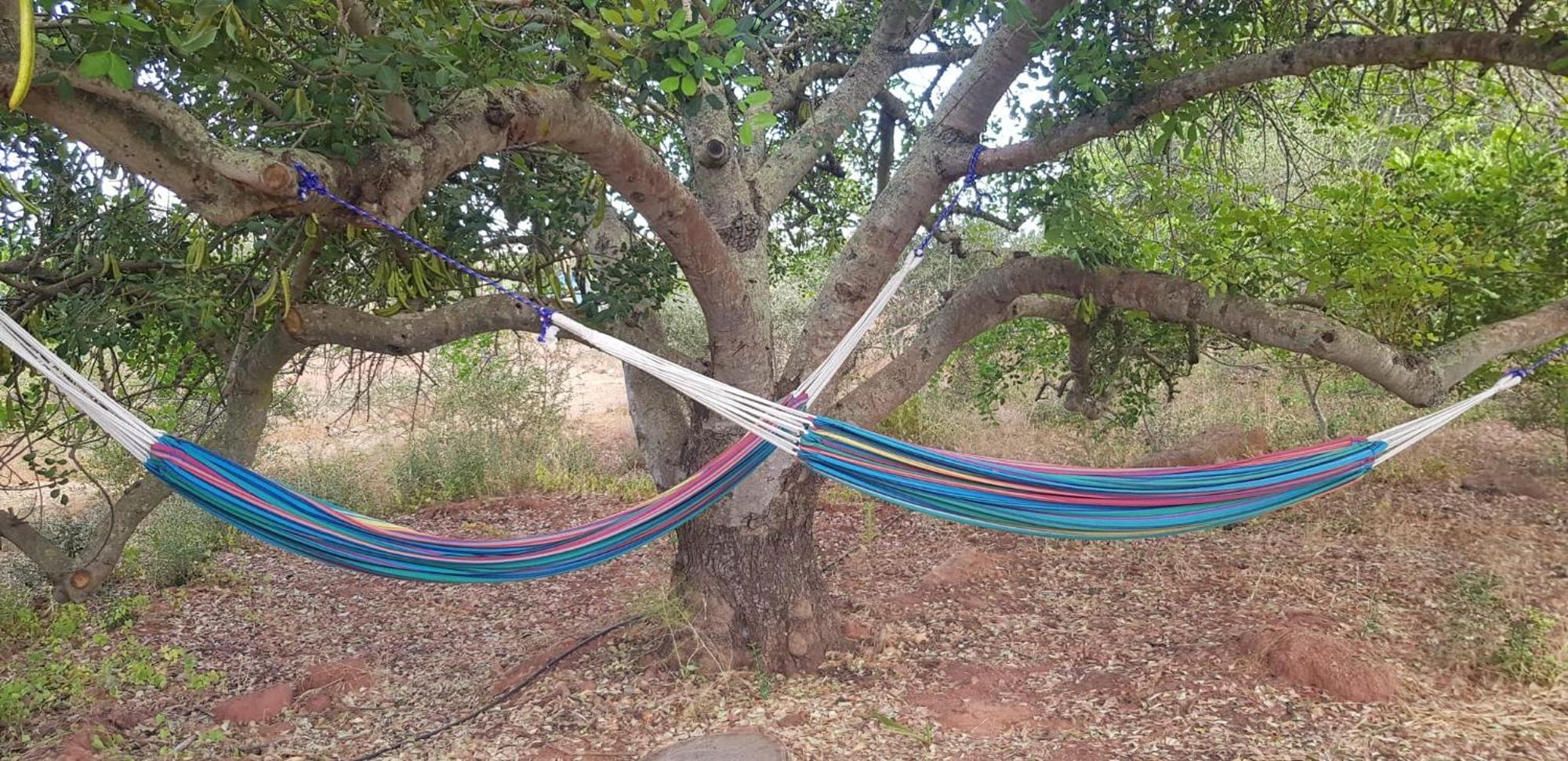 Вилла Quinta Da Fornalha - Santuario Agroecologico Каштру-Марин Экстерьер фото